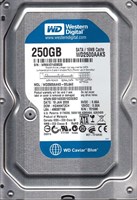 Жесткий диск Western Digital WD2500AAKS 250Gb SATAII 3.5" HDD WD2500AAKS