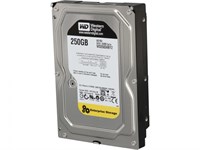 Жесткий диск Western Digital WD2503ABYZ 250Gb SATAIII 3,5" HDD WD2503ABYZ