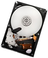 Жесткий диск HGST HUH721212AL4205 12Tb 7200 SAS 3,5" HDD HUH721212AL4205