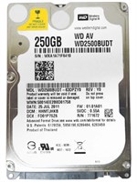 Жесткий Диск Western Digital WD2500BUDT 250Gb SATAII 2,5" HDD WD2500BUDT