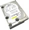 Жесткий диск Western Digital WD5001ABYS 500Gb SATAII 3,5" HDD WD5001ABYS - фото 28621