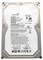 Жесткий диск Seagate 9CA158 1Tb SATAII 3,5" HDD 9CA158 - фото 30779